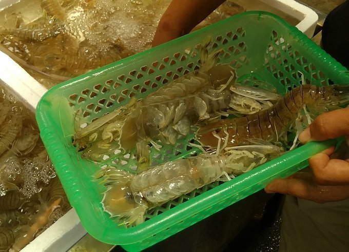 全家人三亚旅游,全家人游海南三亚旅行照片