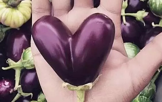 好看的都被你们吃掉了,让这些长得丑的怎么办?