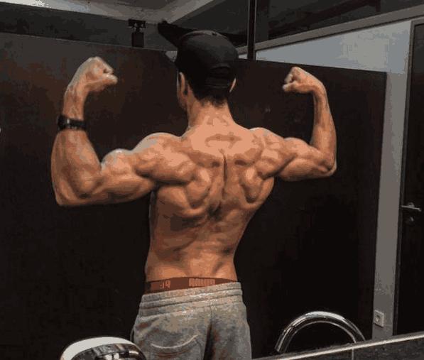 增肌期当日没锻炼蛋白粉好吃吗 (不锻炼保持肌肉也要吃蛋白粉吗)