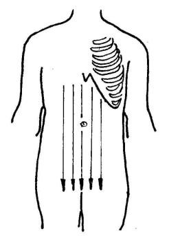 中医刮痧疗法二十一穴,张秀勤教你中医刮痧之面部刮痧