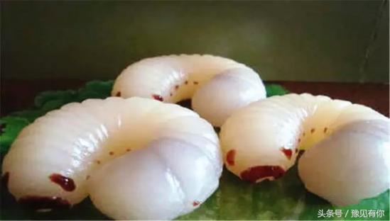 大象粪便里还有人能吃的东西吗,大象粪便里还有人能吃的东西