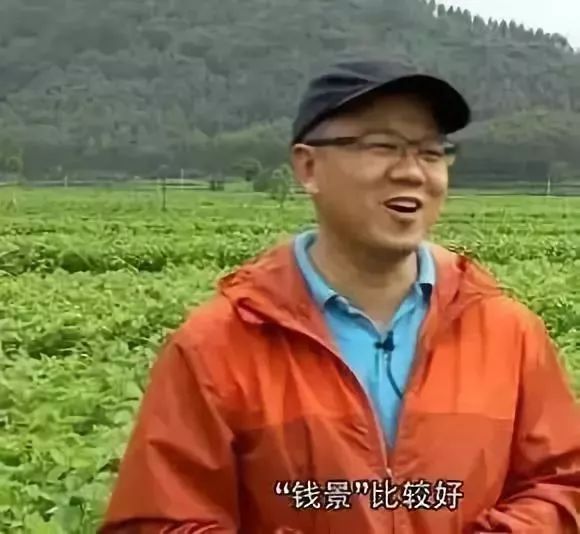乐山卖一百多的菜,乐山乡村菜