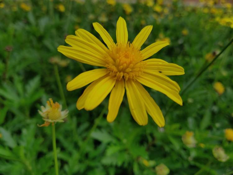 360手机n7pro测评,360n7pro跟哪款手机对比功能