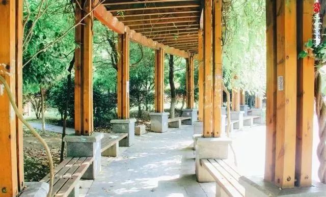 湖南长沙十大高校排名,长沙十大高校