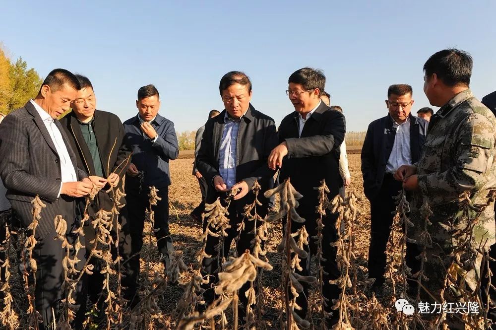 王守聪在友谊农场宣讲时强调:增强共识凝聚力量深入推进农垦改革团结起来向*党**和国家交上一份满意答卷