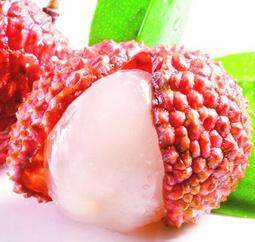 寿山石之荔枝冻,寿山石荔枝冻石特点