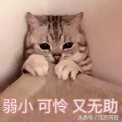 苹果账号被盗刷谁的责任,苹果账号被盗刷的后果