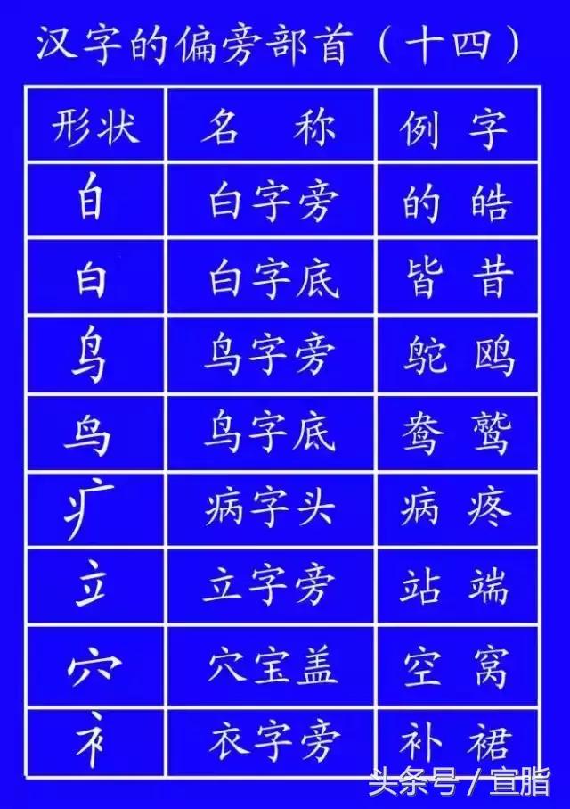 权威专家教你正确的汉字笔顺技巧,专家揭秘汉字正确的笔顺技巧