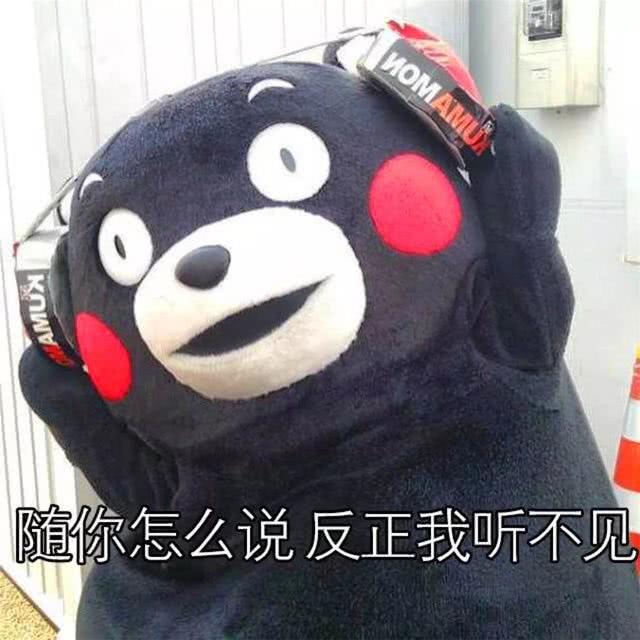 泰迪对主人吠叫,泰迪狗狗乱叫扰民怎么办