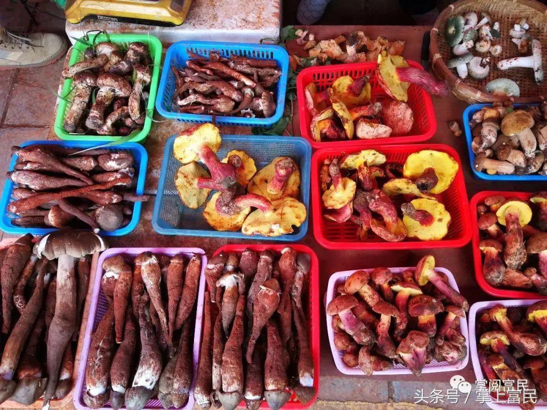 富民赋,富民产业赋能乡村振兴