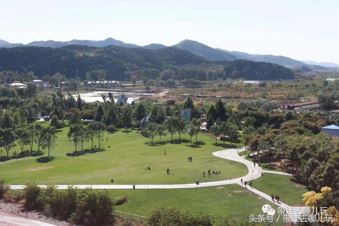 金海湖风景区有啥特点,金海湖风景区有什么玩的