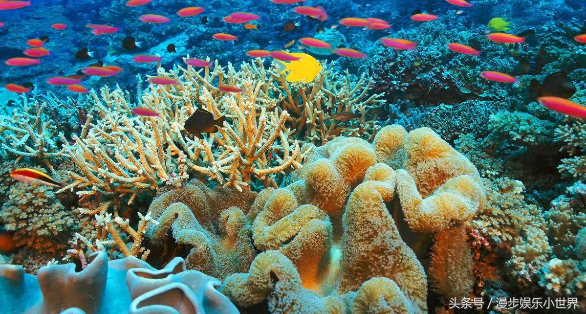 美娜多有什么故事,美娜多惊艳的照片