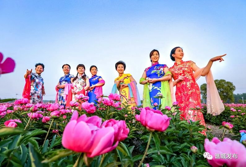 谯城区最美乡村,谯城区美丽乡村图集