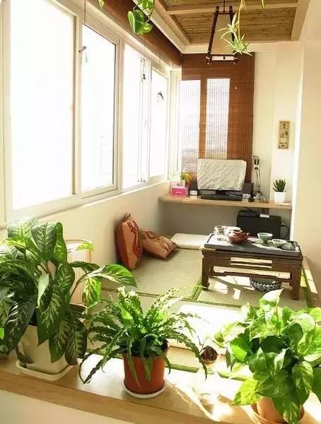 花园洋房阳台设计,阳台打造成小花园