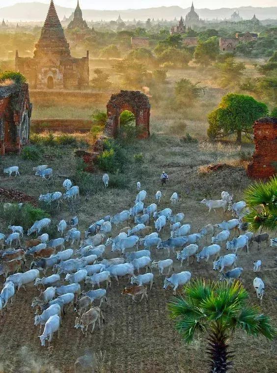 现在缅甸可以落地签吗,缅甸落地签柬埔寨