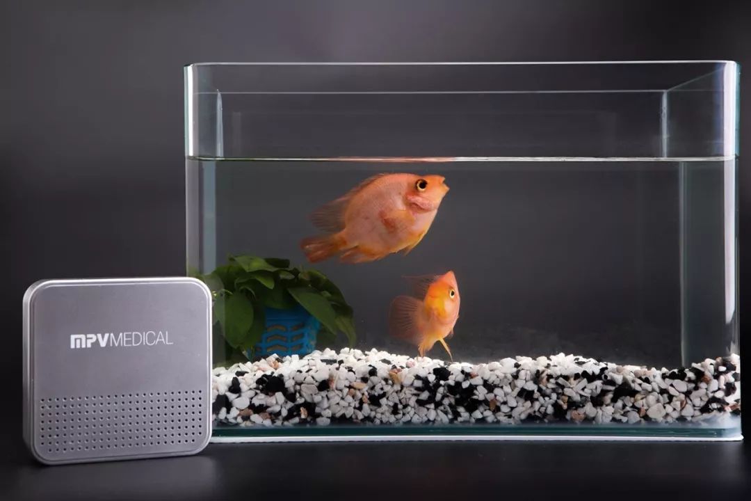 甲醛释放周期3-15年的房,甲醛释放长达3-15年