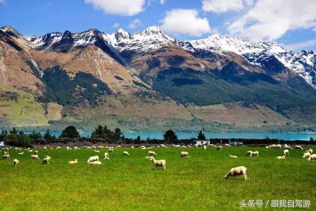 开车出国自驾游都需要办理什么,境外自驾游驾照