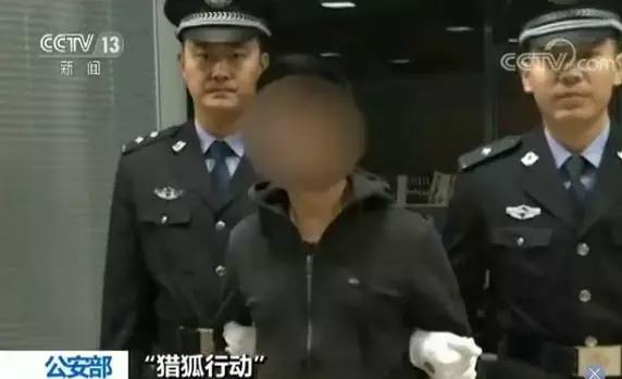 国际刑警组织的来历,国际刑警组织发布最新消息