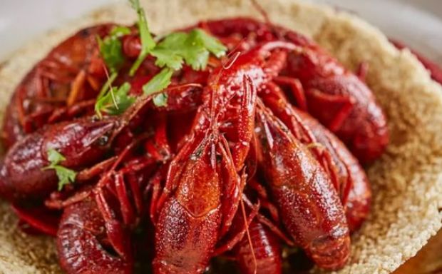 藏在老住宅区里的一家小店,藏在上海市井里的宝藏小店