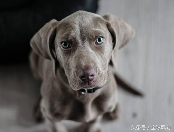 39个副业赚钱金点子怎么写,最好的赚钱的点子