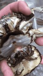 清远吃大闸蟹哪个店好,清远吃货攻略