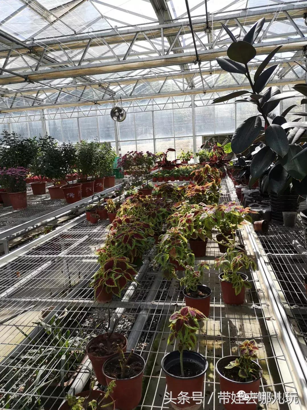 京郊十大亲子酒店,平谷亲子酒店值得去吗