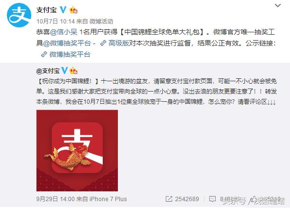 此次支付宝锦鲤营销的赢家有谁,支付宝锦鲤活动怎么引起轰动