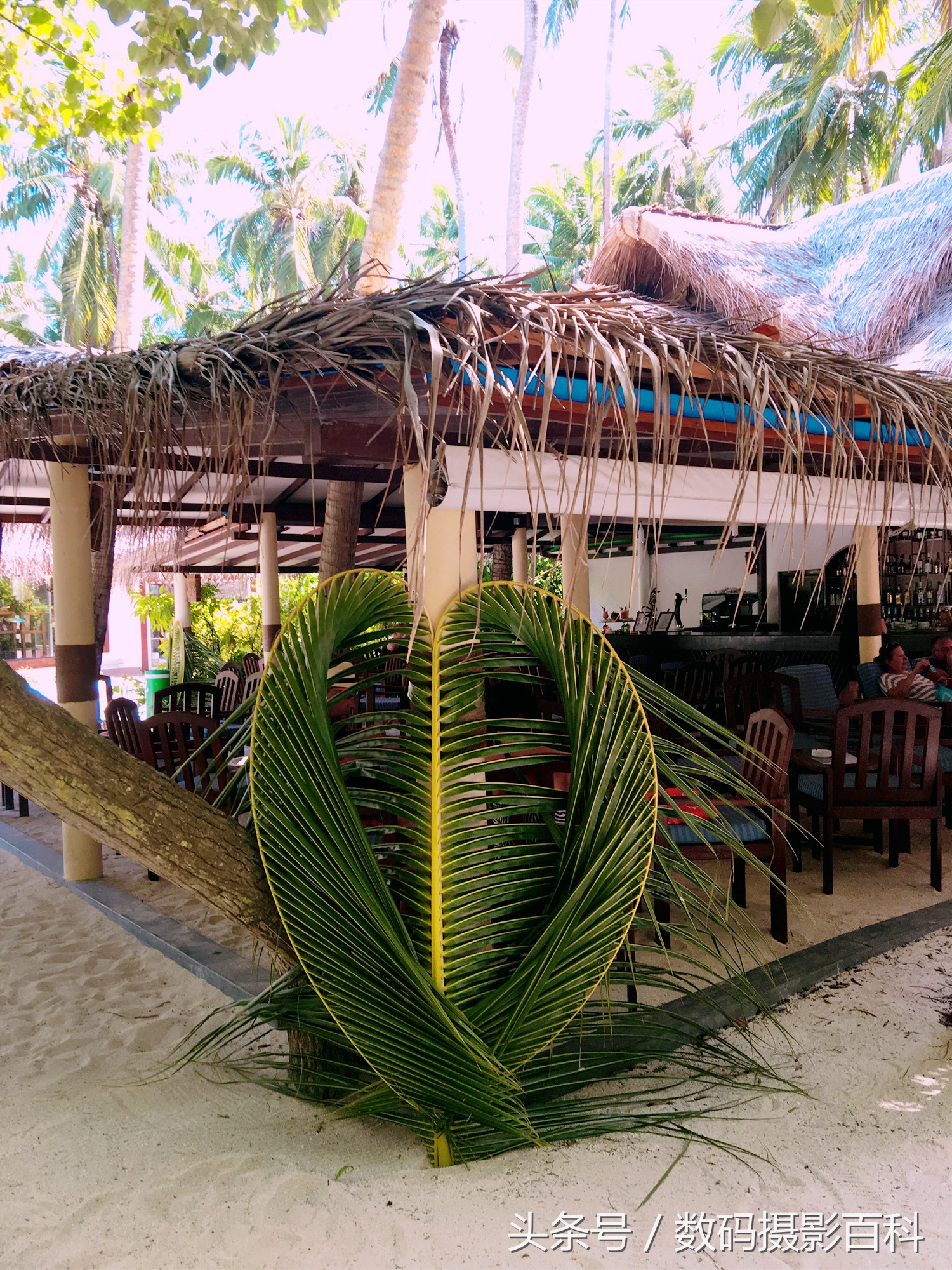 马尔代夫贫民海岛——入乡随俗，与印度夫妇有个约定