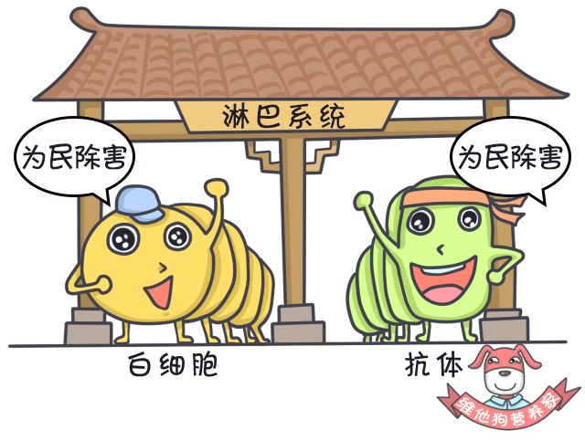 足贴、清肠丸、大麦若叶真的有效吗？戳穿朋友圈9大排毒网红