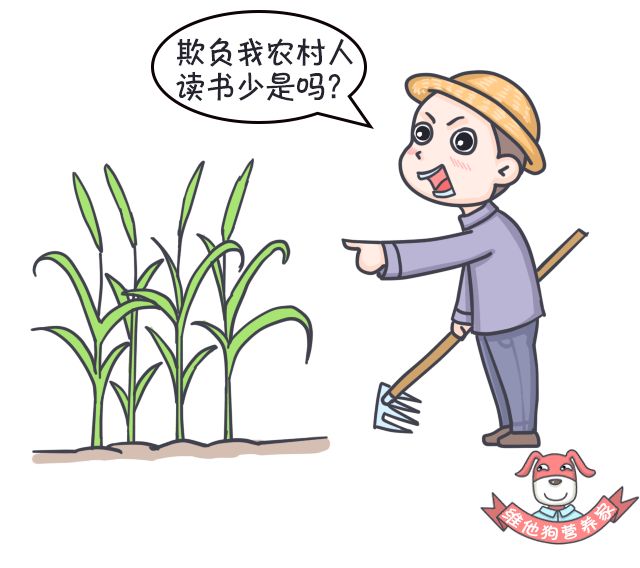 排毒瘦身足贴,足贴正品祛湿气排毒减肥测评