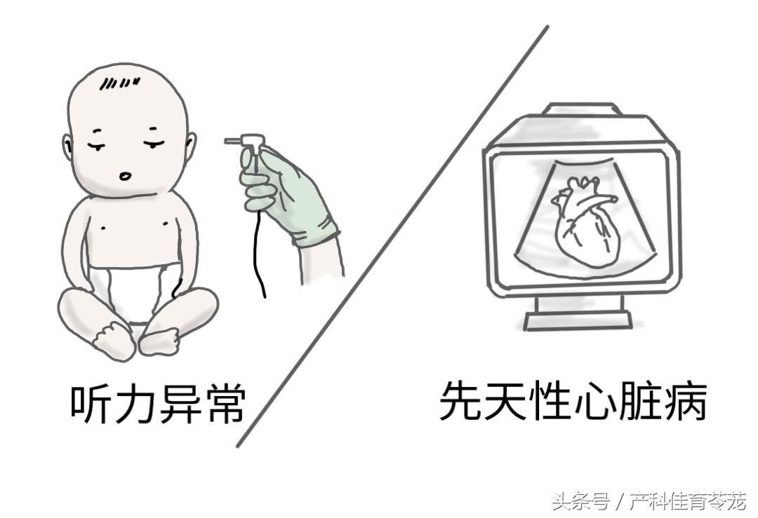 孕期发热用药指南,怀孕初期发热38双腿出疹子