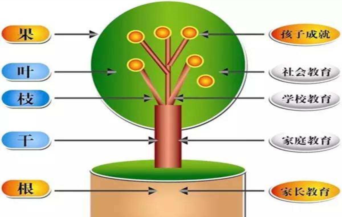 新父母大学书籍,新父母教育书籍