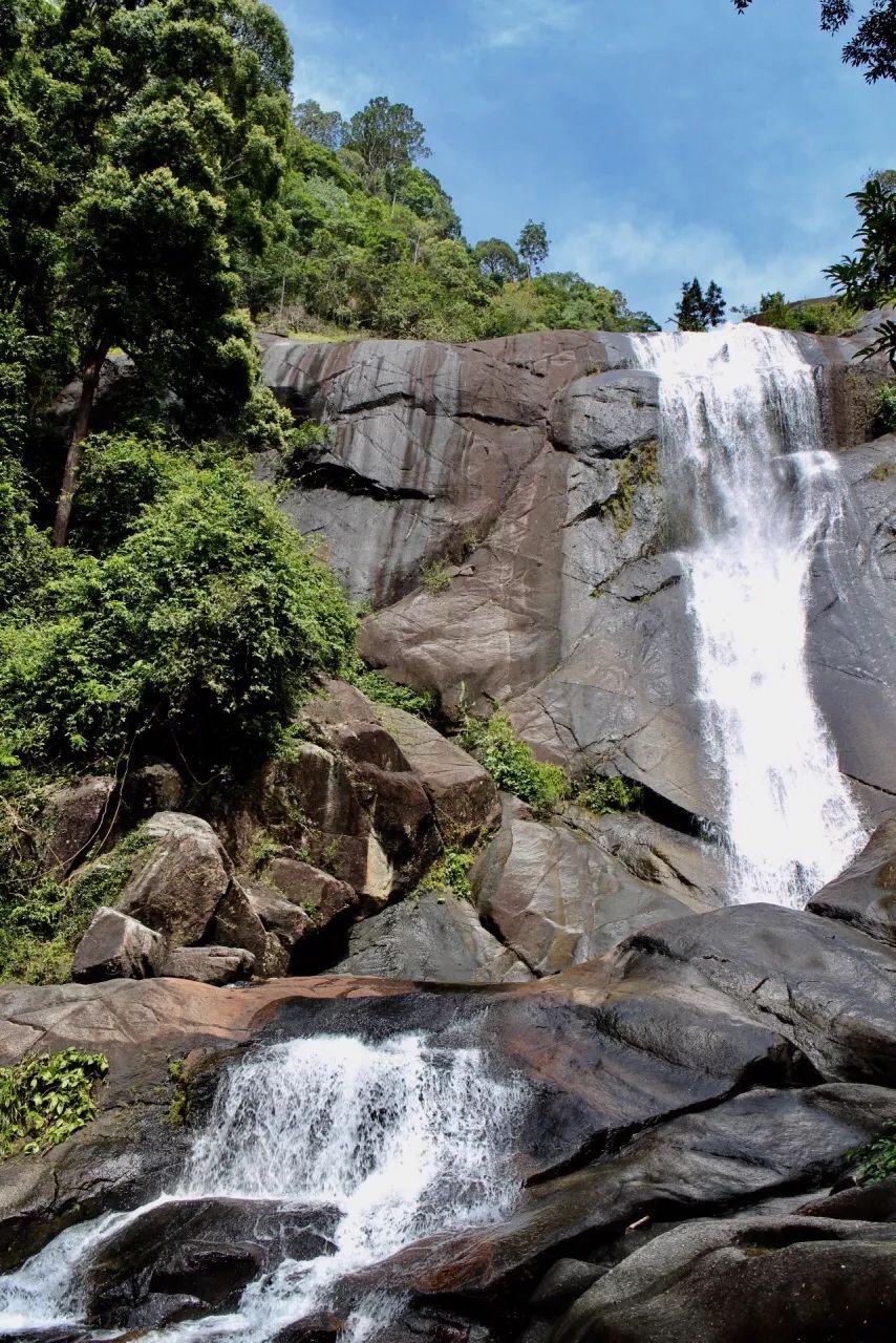 李茶的姑妈海景大别墅,李茶的姑妈在马来西亚