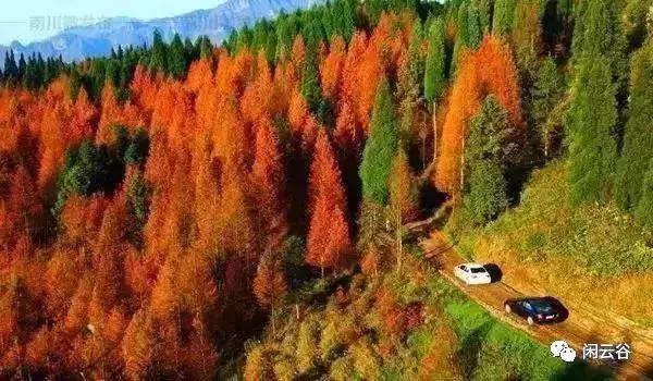 关于秋天的30首经典诗词,60首最经典描写秋天的诗词