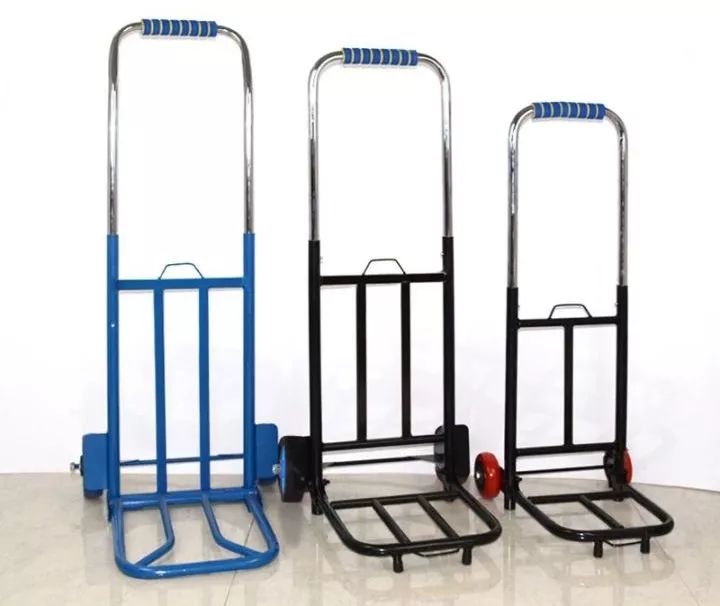 哈哈哈哈哈哈哈哈这届猫奴的智商有点高!