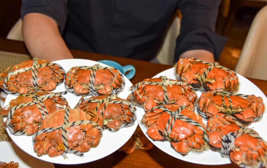从320公里搬来“蟹中白富美”！北外滩酒店首创白兰地醉蟹畅吃！