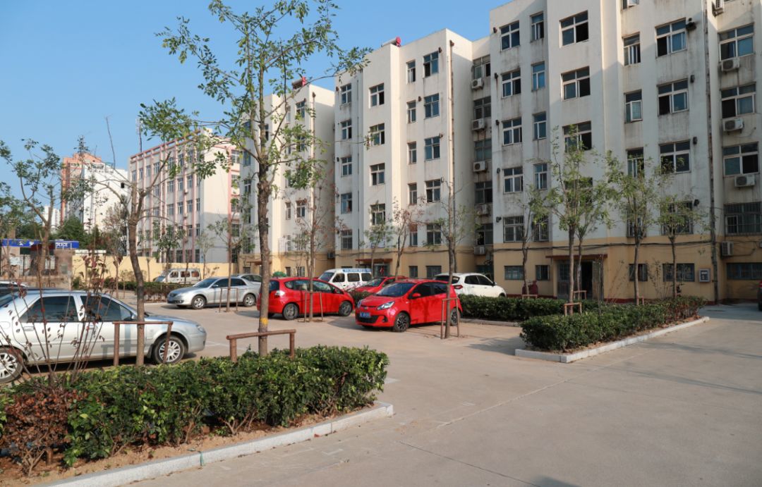 美了美了钢琴曲二胡,美了美了越南红歌