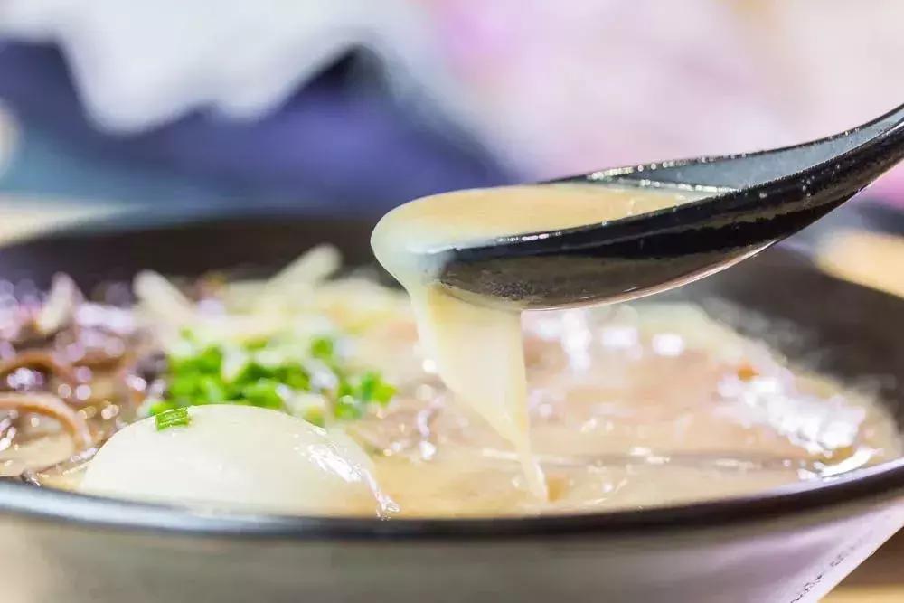 日本本土拉面探店,日本十大拉面探店