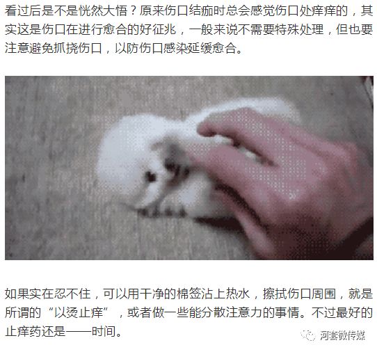 伤口结痂后摸起来又疼又痒,伤口结痂了才发现毫无痛感