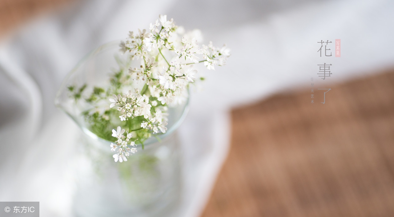 英语感恩美文,英语美文经典