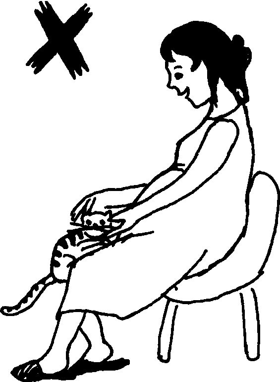 孕妇养宠物得弓形虫几率是多少,备孕养宠物检查弓形虫