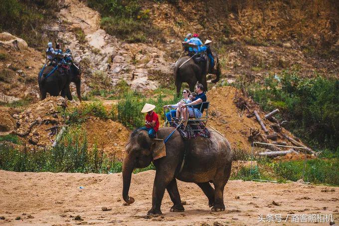 铚傞娓歌,鑺藉簞铚傞娓歌