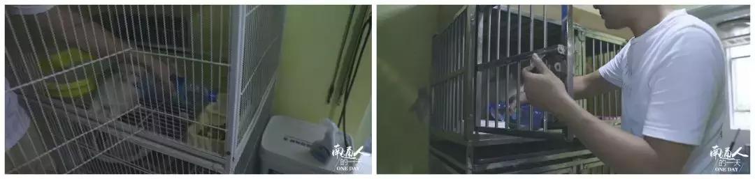 看到这家宠物店老板这么辛苦,我还是乖乖滚回去上班吧!