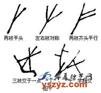 国画基础梅花的几种画法,徐湛国画梅花的画法视频