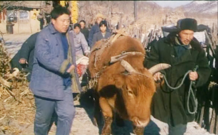 当年学校组织看过的电影,小时候学校组织观看的电影