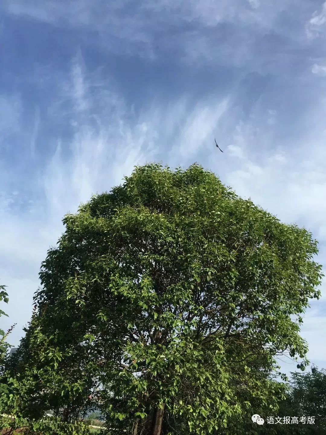 北风那个吹电视剧全集,北风那个吹歌曲