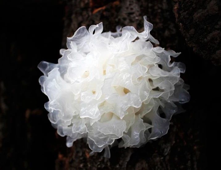 celine真的过气了么,celine之前和现在