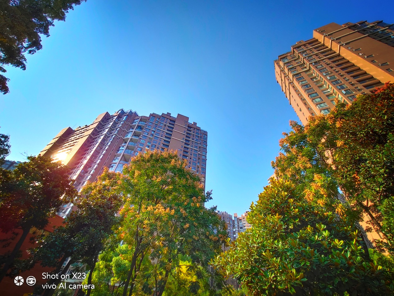 vivox23型号1809a多少钱,vivox23现在还值得购买吗