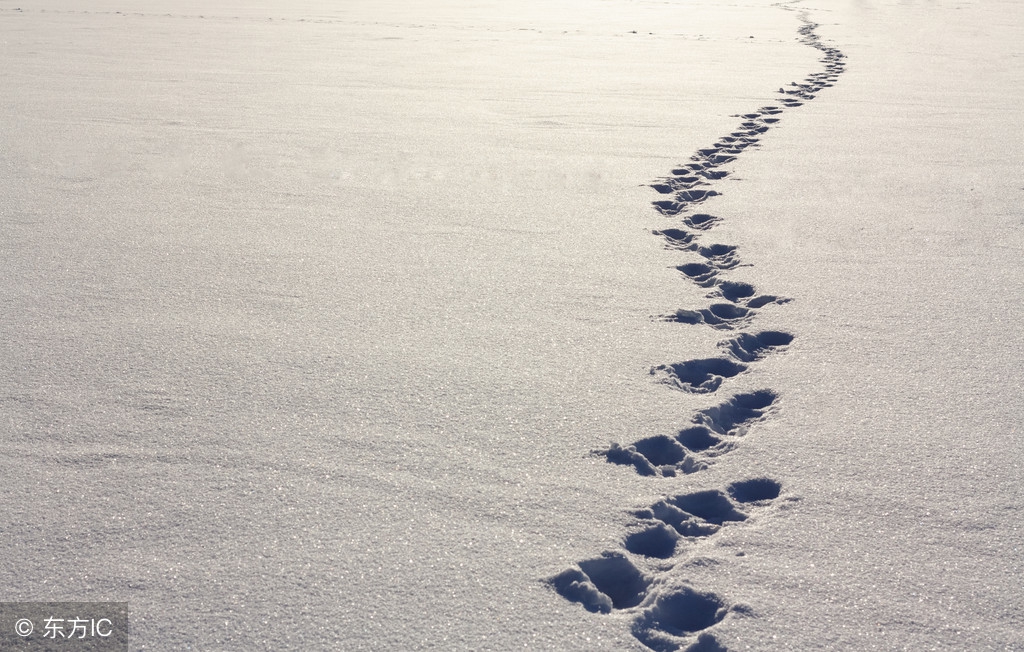 努力：Lifewillnevermaltreateverypersonwhoworkshard.