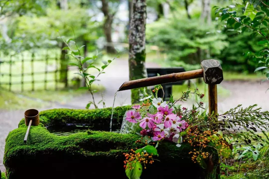 再谈伦纳德,eosr使用技巧